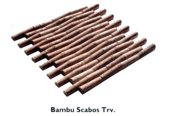 bambu-scabos-trv