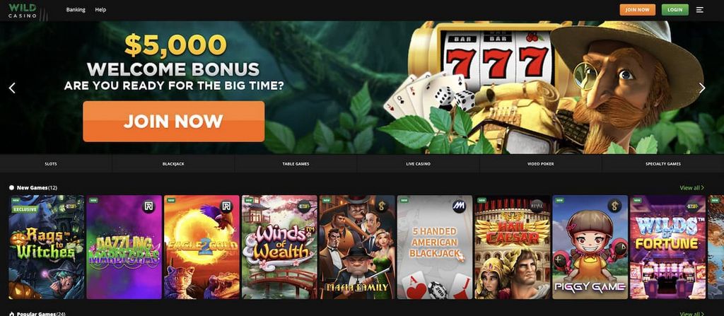 Discovering the Excitement: A Thorough Evaluation of Huff N' Puff Online Casino for US Athletes