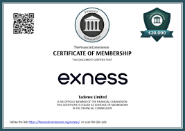 Is Exness a Book Unraveling the Mysteries of Forex Trading