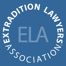 How to Successfully Remove an Interpol Red Notice 376589922