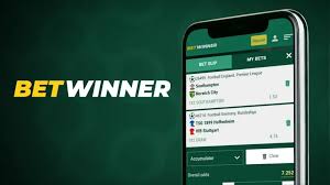 BetWinner Withdrawal Steps A Comprehensive Guide -586245983